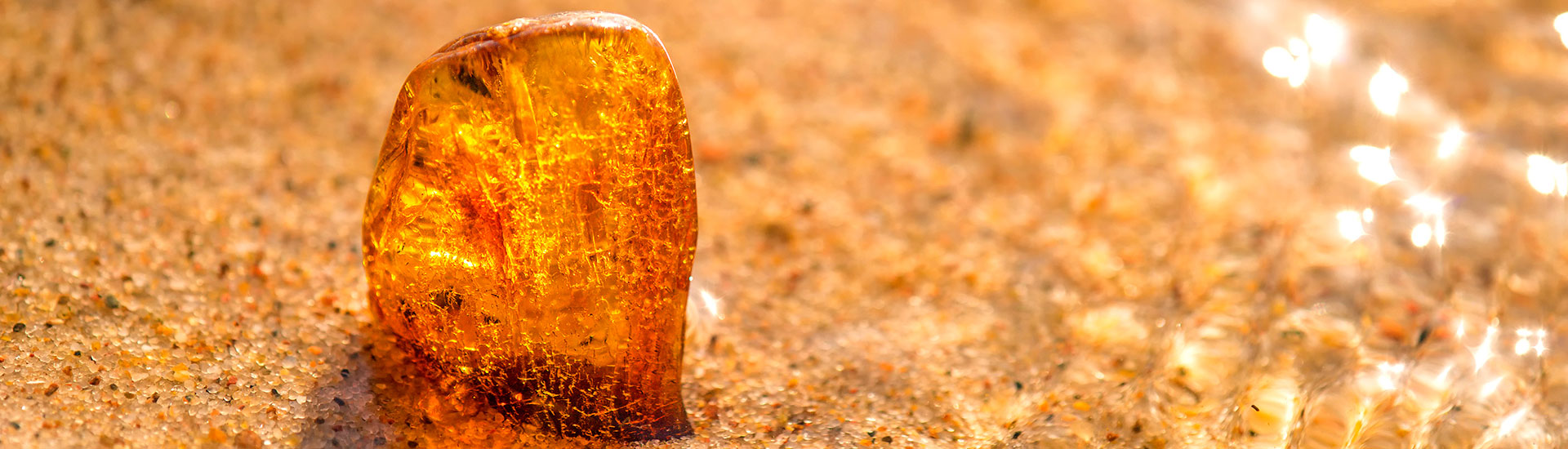 Amber on a Beach